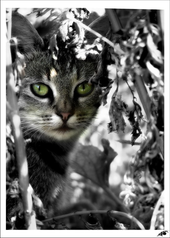 no name 