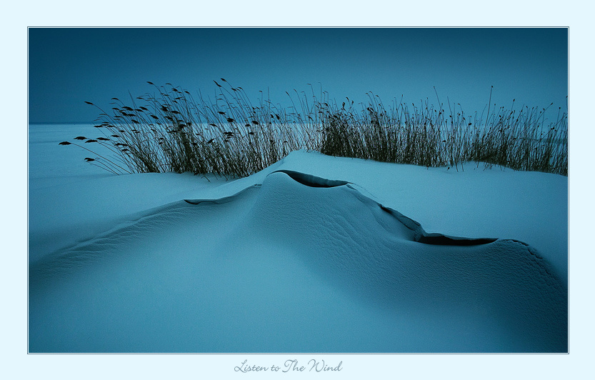 ~ Listen to the Wind...  ~ 