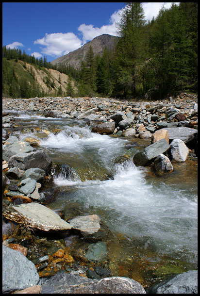 Курайка 