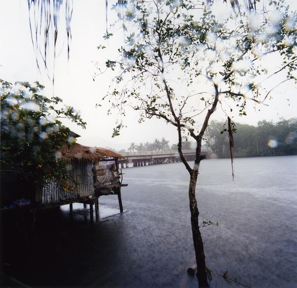 rain 