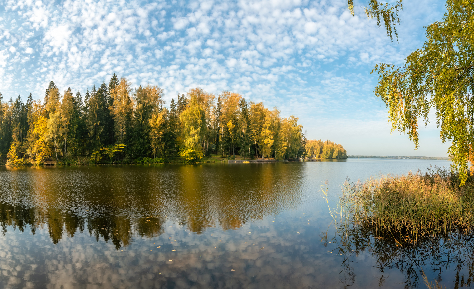 Осень в Подмосковье 