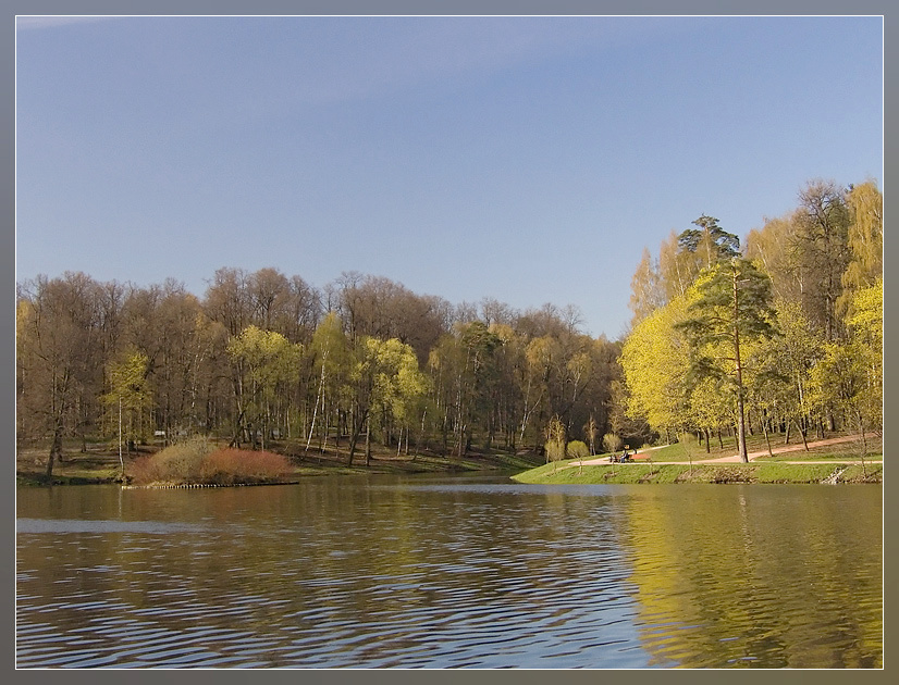 Краски весны весна лес Царицыно