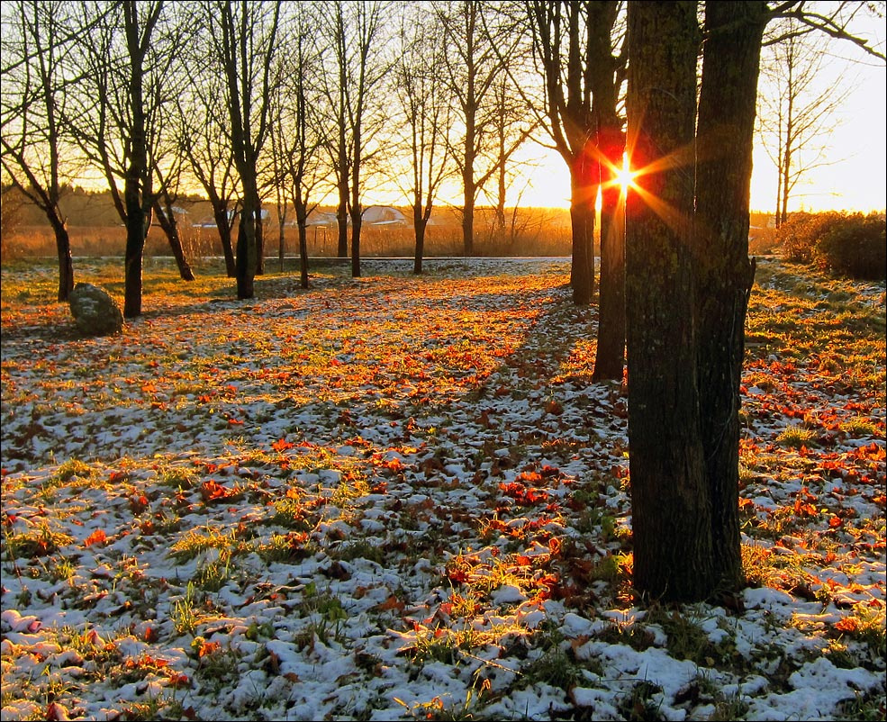 Первое утро первого снега Первый - не последний