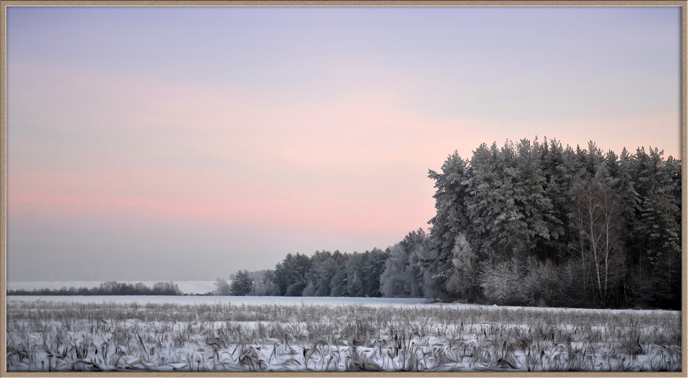 Зимний лес вечер зима поле лес сосны