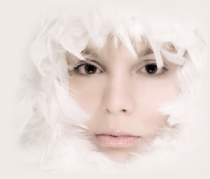 ...uccello piccolo bianco... dozy deep down in feather