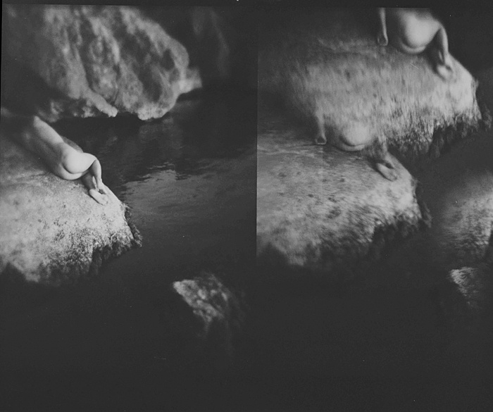 to dream you holga