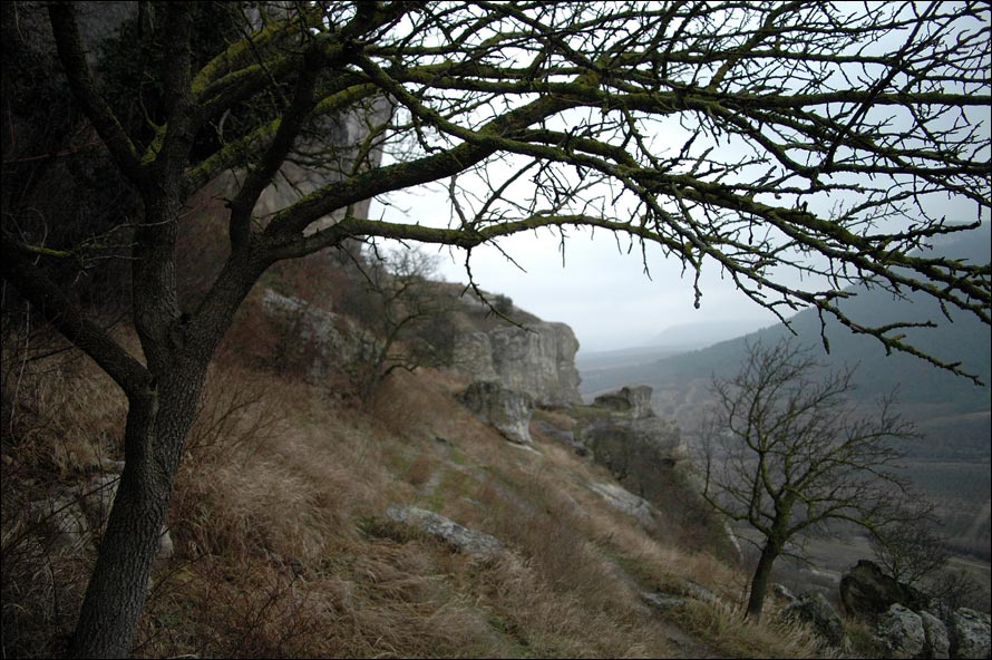 в крыму 