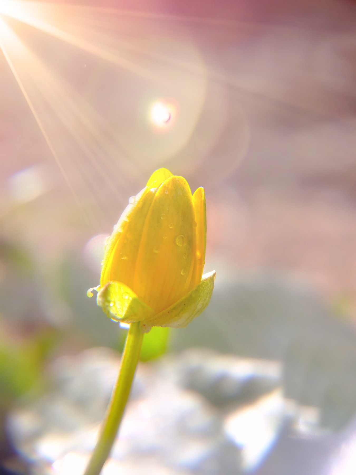 Природа оживает 