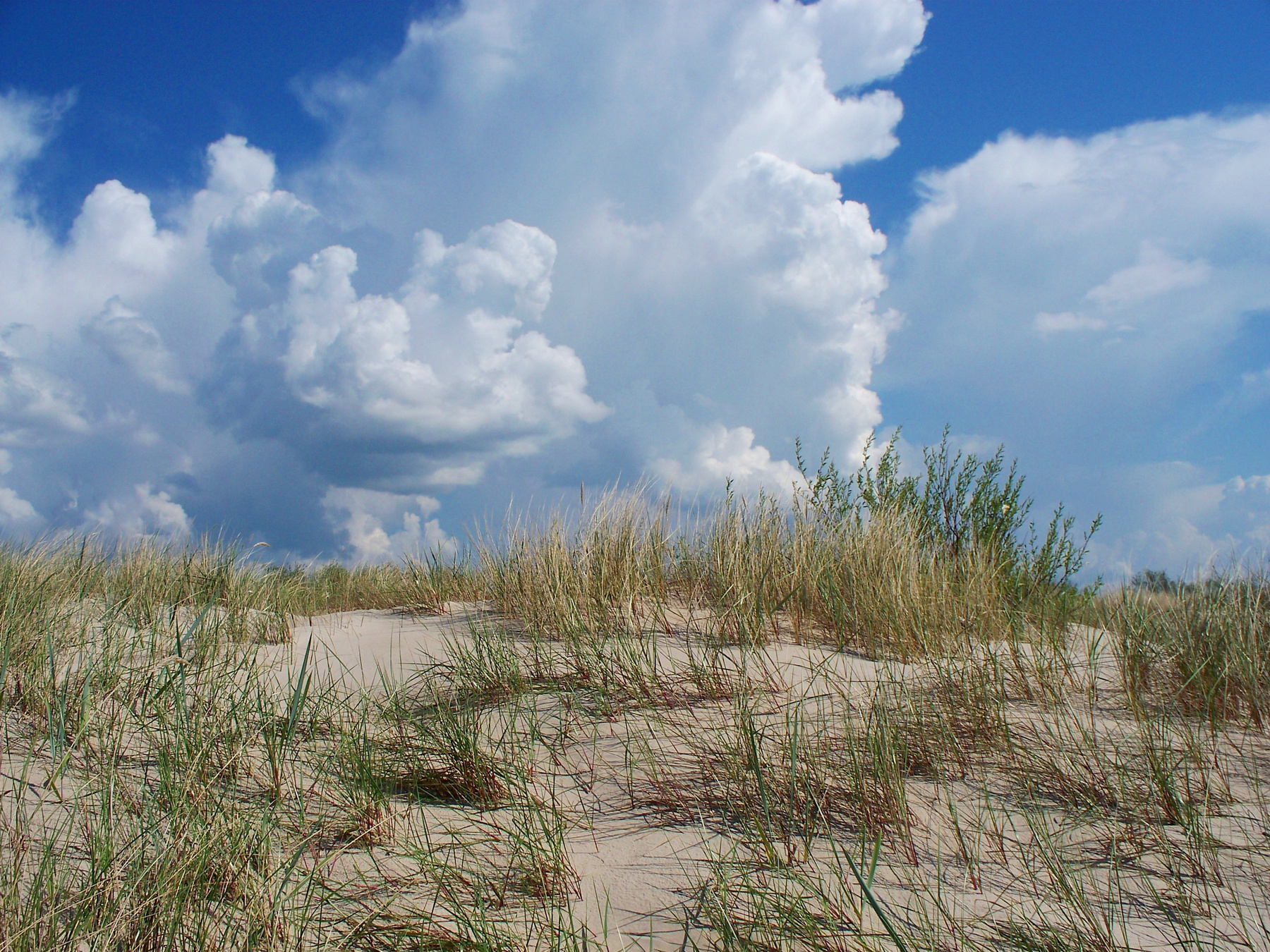 Дюны beach
