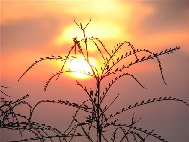 Закат закат