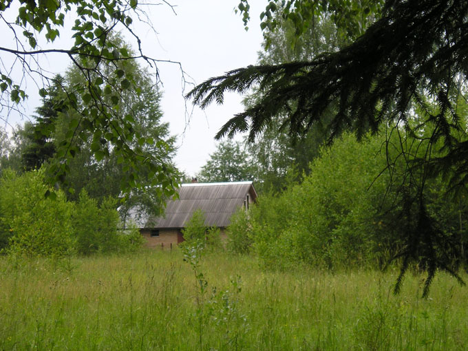 Домик лесника лес деревья домик