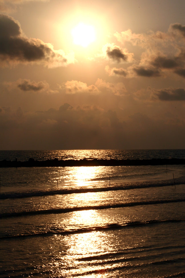 Gold Evening 