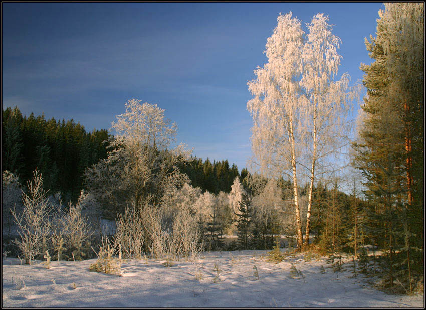 Утренник 3 Утро,река,лес,иней
