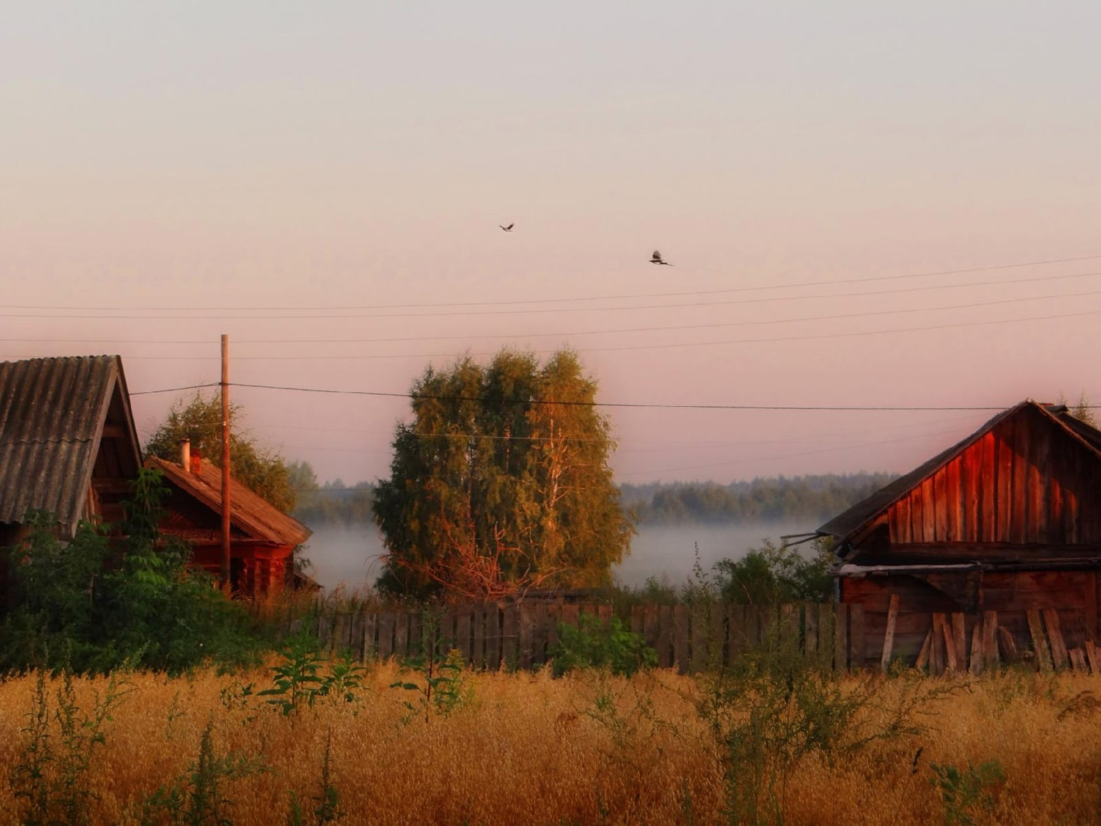 ДЕРЕВНЯ ПЕЛЕГОВО 
