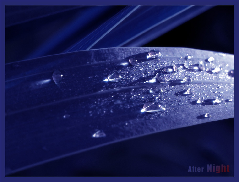 After Night утро