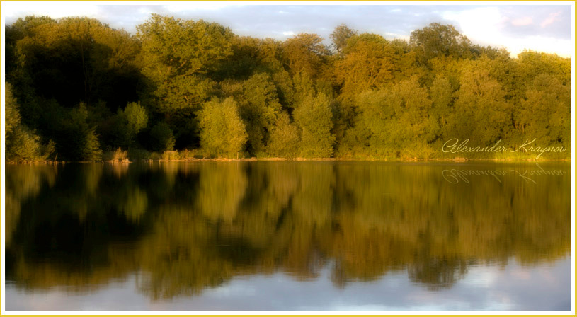 Reflection... Lake, Reflection, Hatfield, Forest, Nature