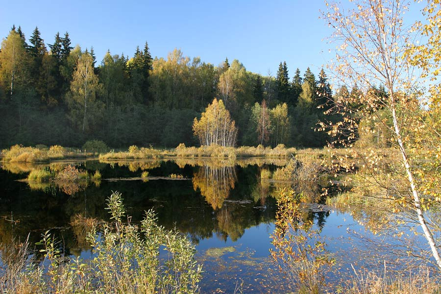 Осенний уголок Осень,озеро,природа.