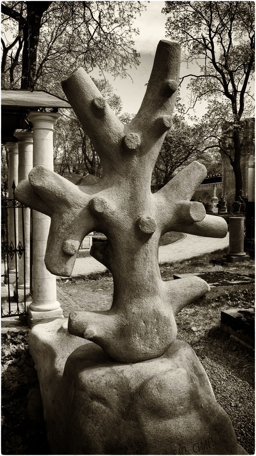 некрополь (14) 