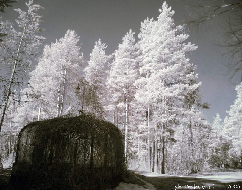 M y s t e r i o s  P l a c e : h o u s e infrared