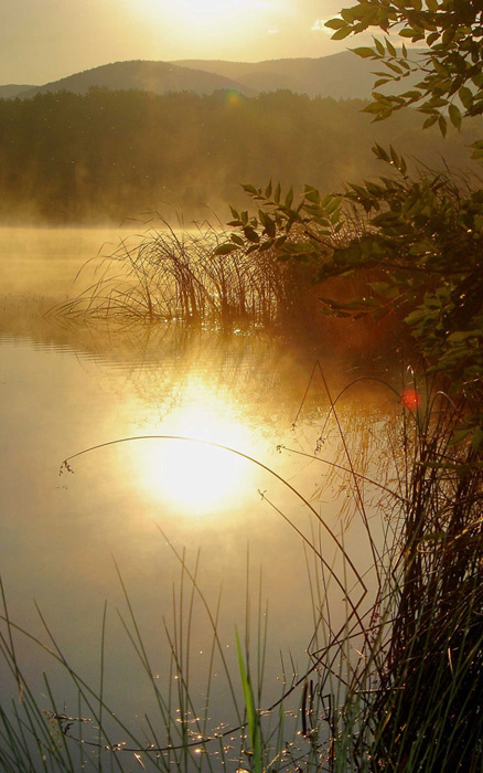 Golden sunrise восход озеро