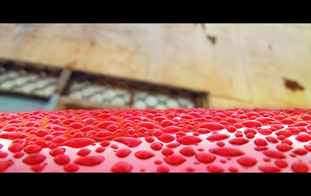 the drops 