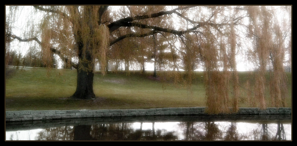 somewhere in the park ива, озеро, осень
