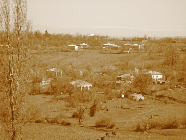 сакара пейзаж, деревьня, след, мир