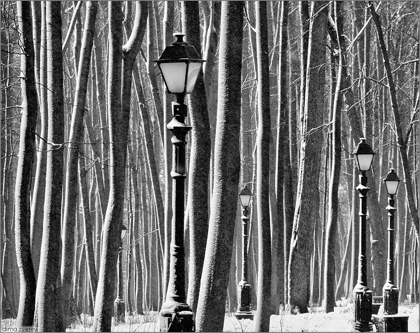 Москва, ноябрь 2013г мск