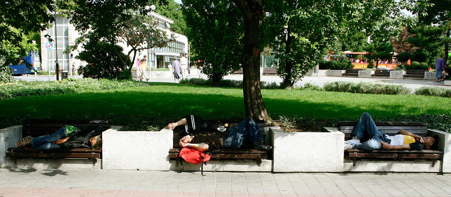 Сладкий сон 