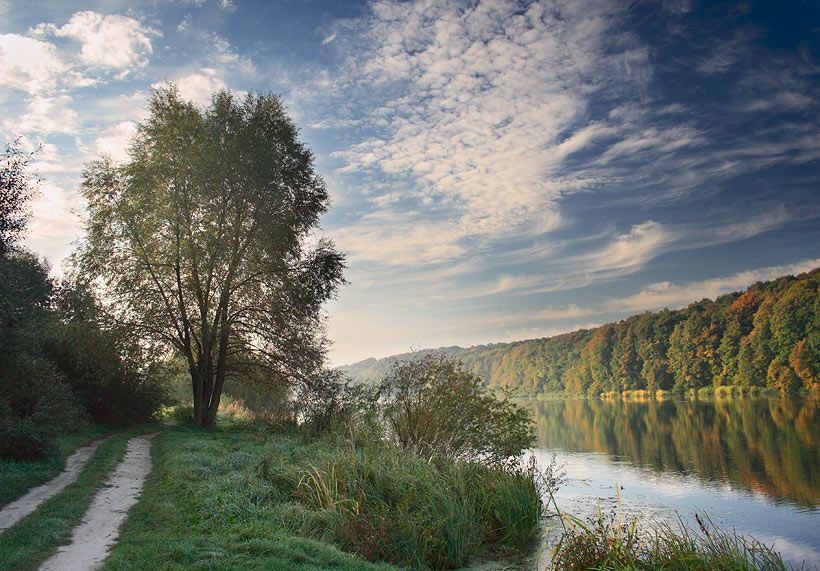 Утренний пейзаж река, дерево, вода, облака, небо, дорога, осень, утро