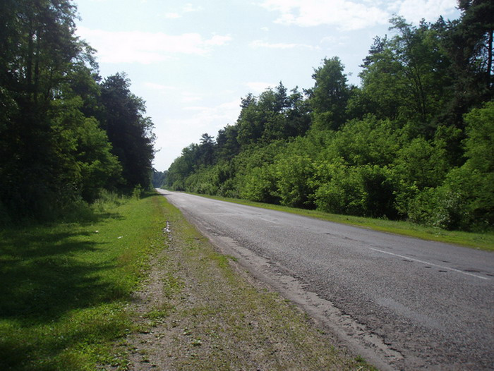 рассекая леса зелень