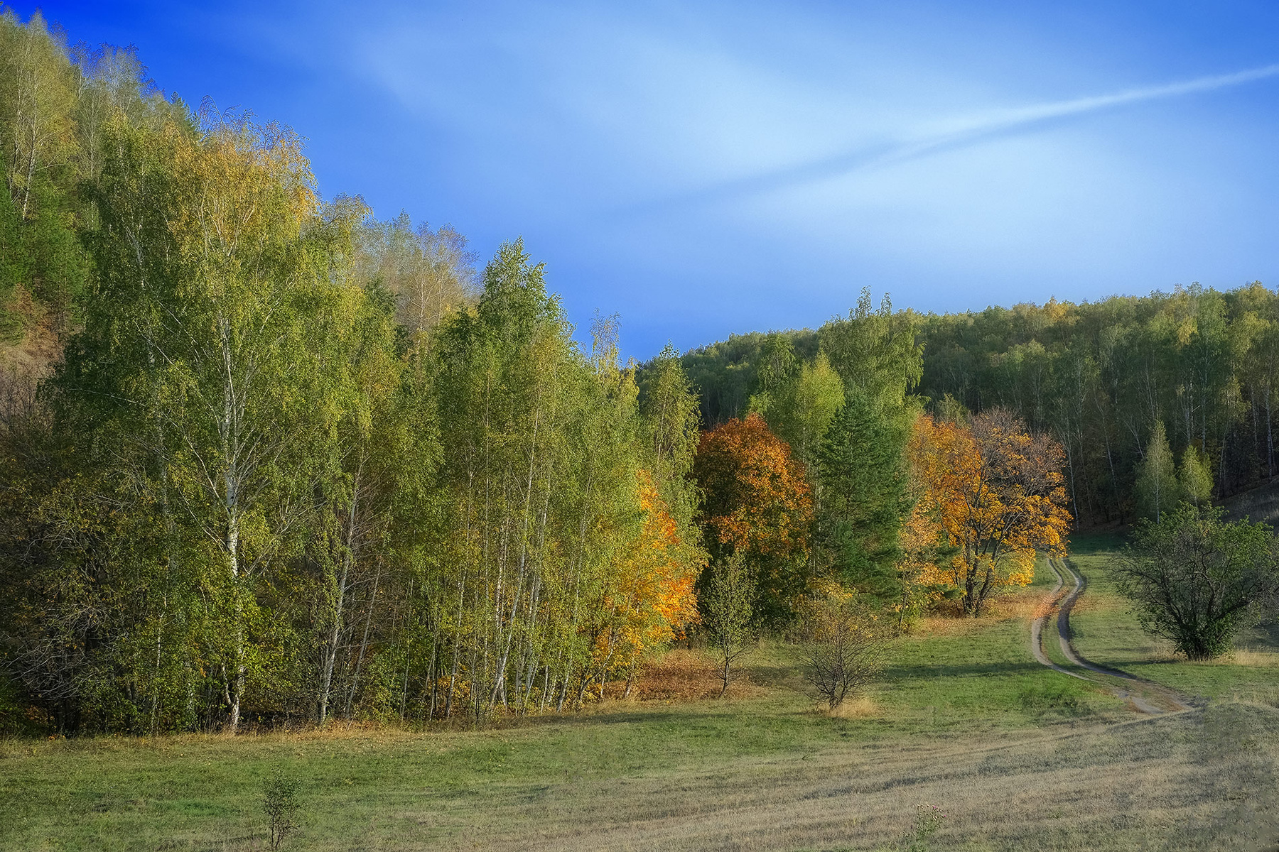 Про осень... осень лес дорога
