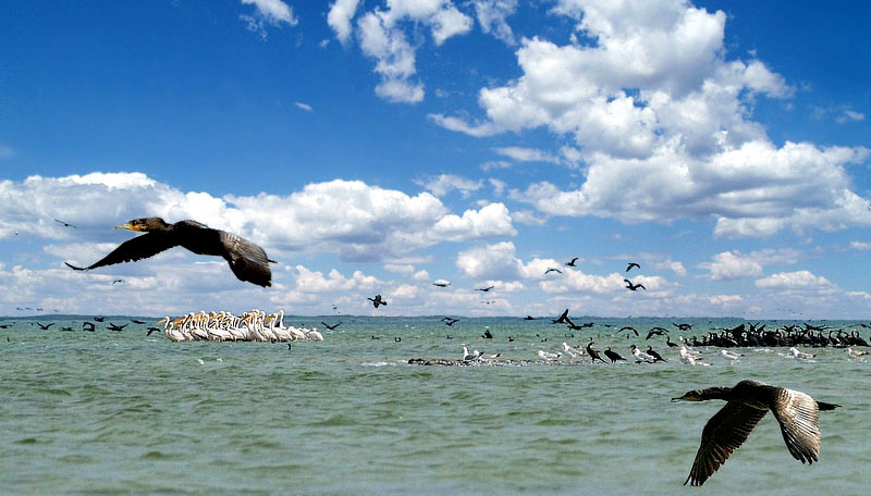 Кинбурнская коса. Морской патруль. 
