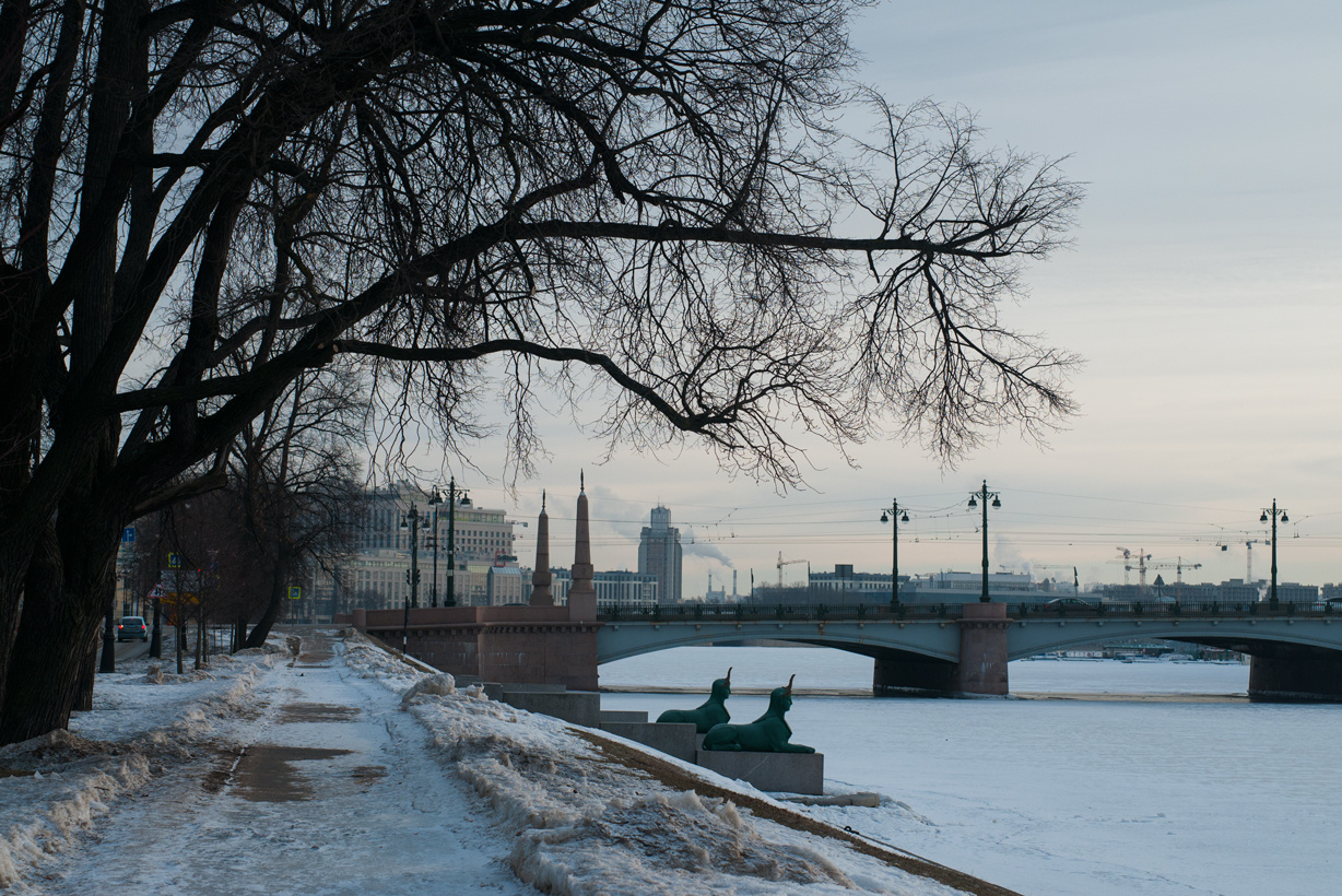 Beneath a branchy tree Petersburg