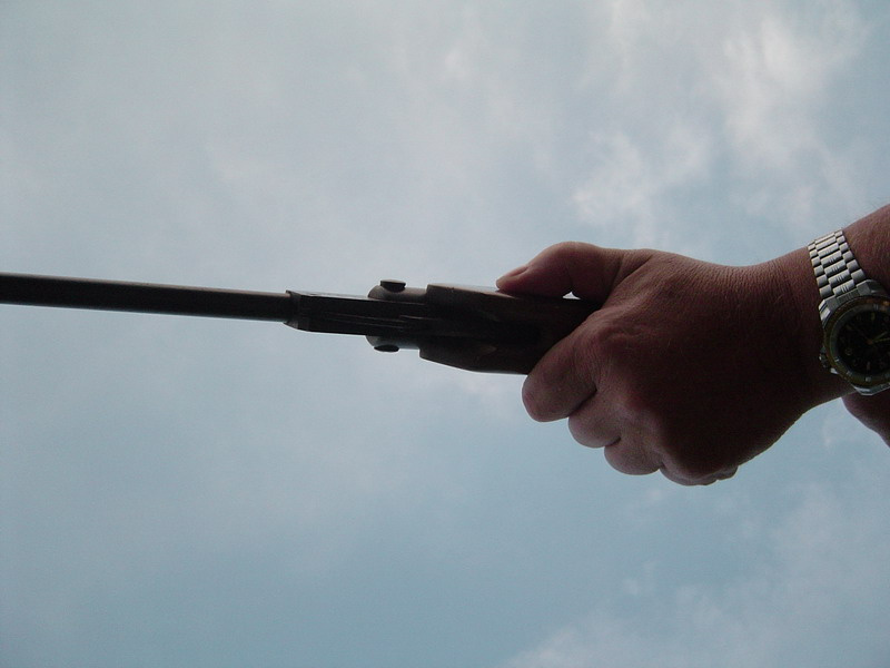 Gun 