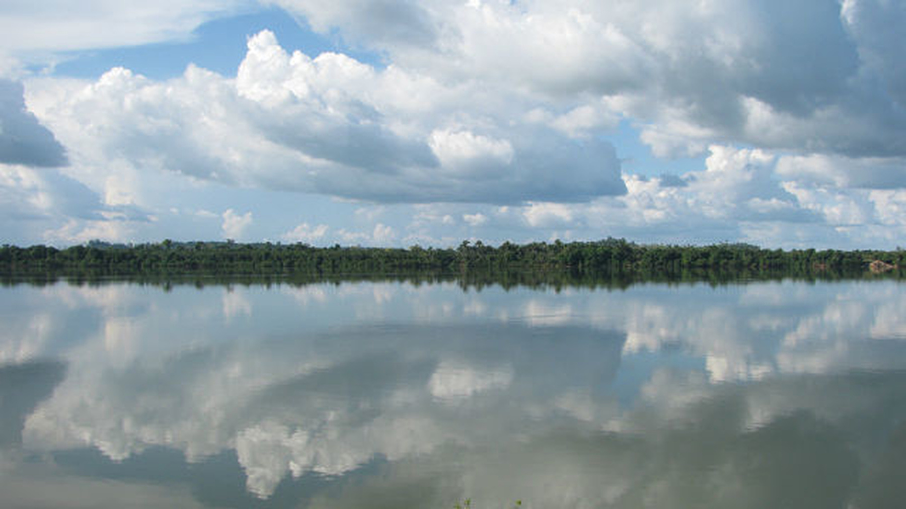 Амазония 
