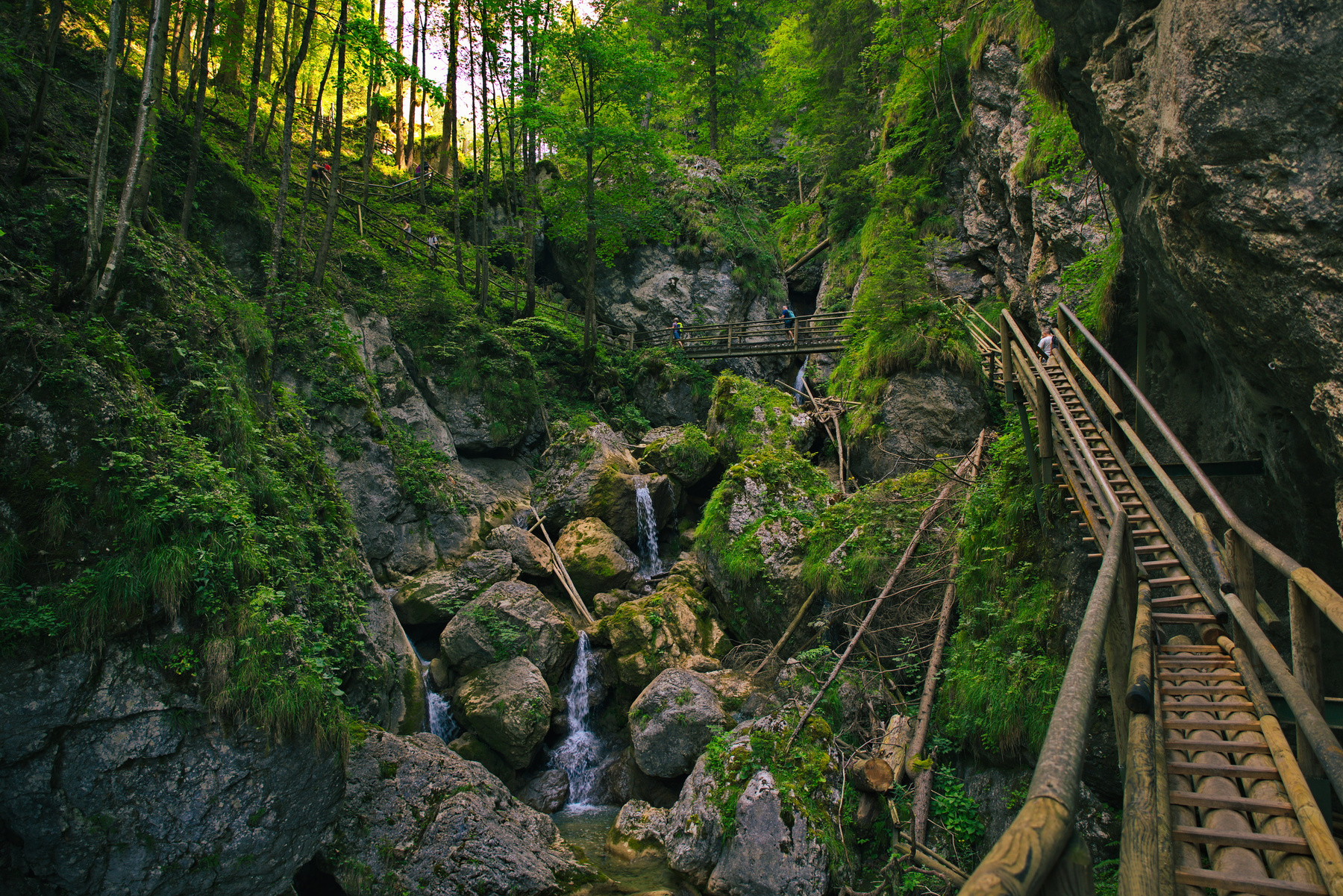 Naturpark Almenland (AT) 2 