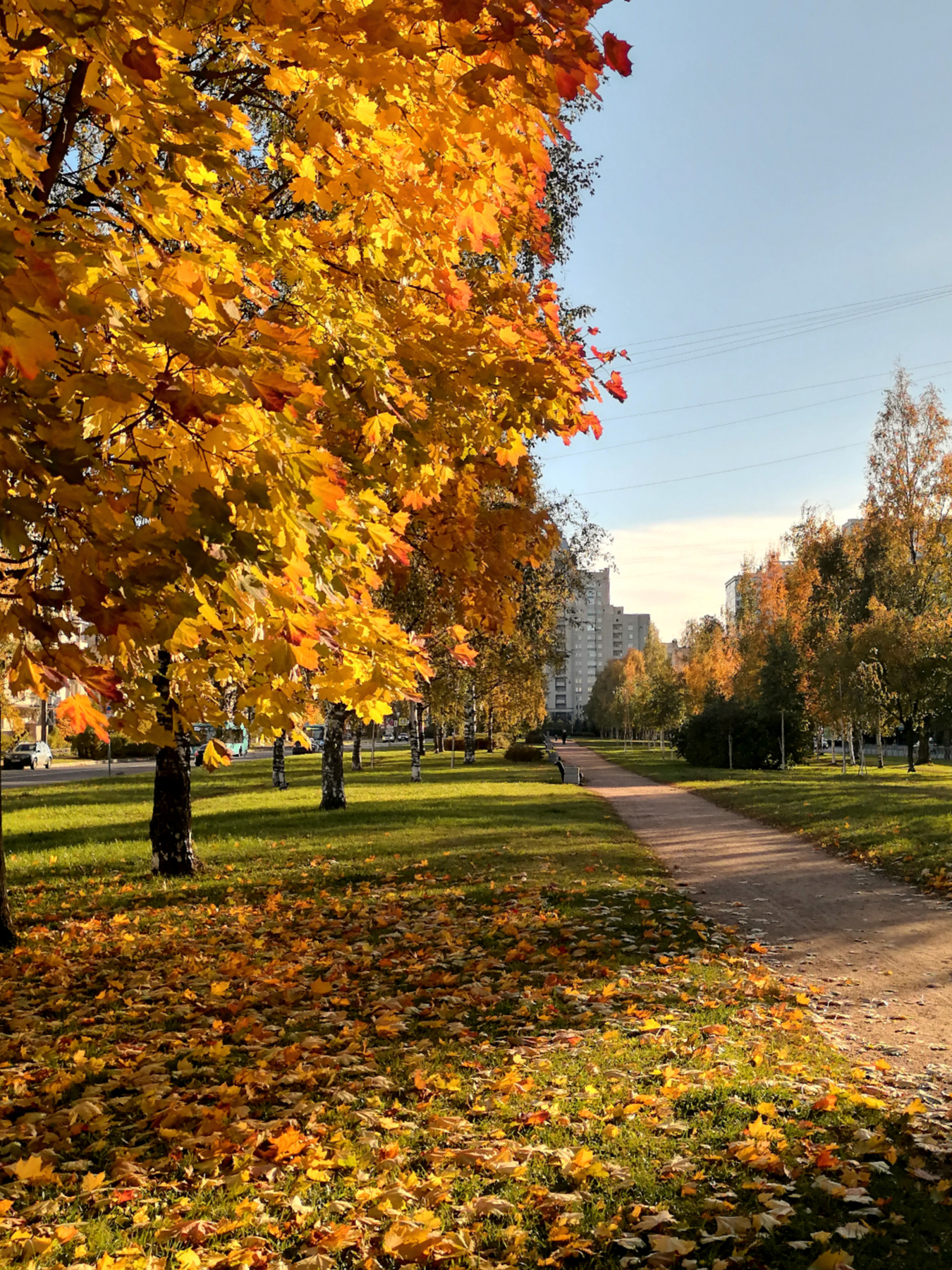 Осень 