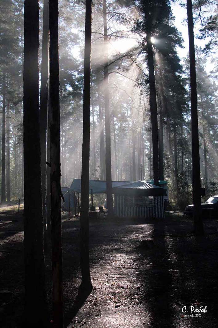 Утро, сентябрь лес, сентябрь, осень, утро