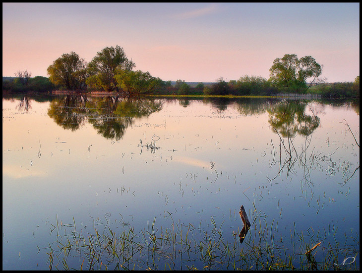 Вечерние кружева. вода отражение берег луг вечер закат