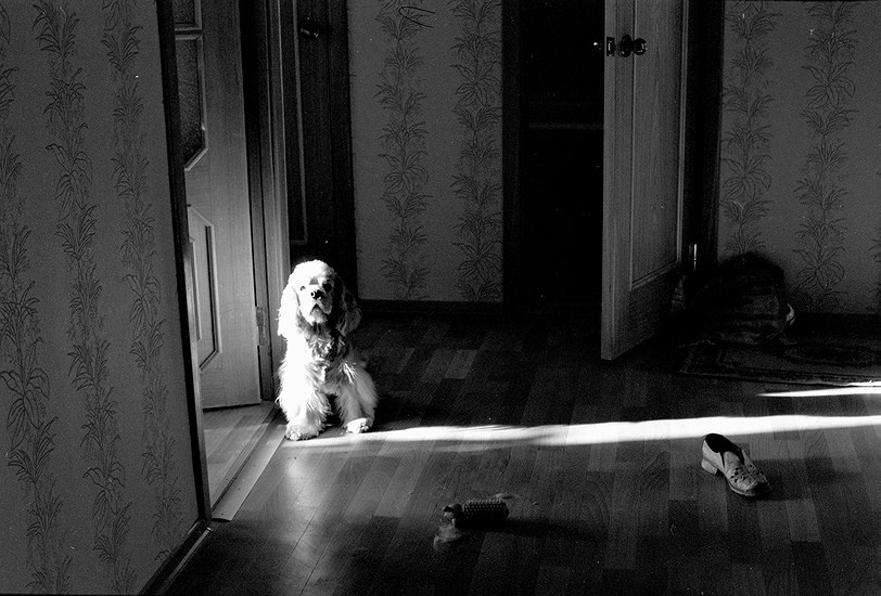 Ш Шмуля ilford