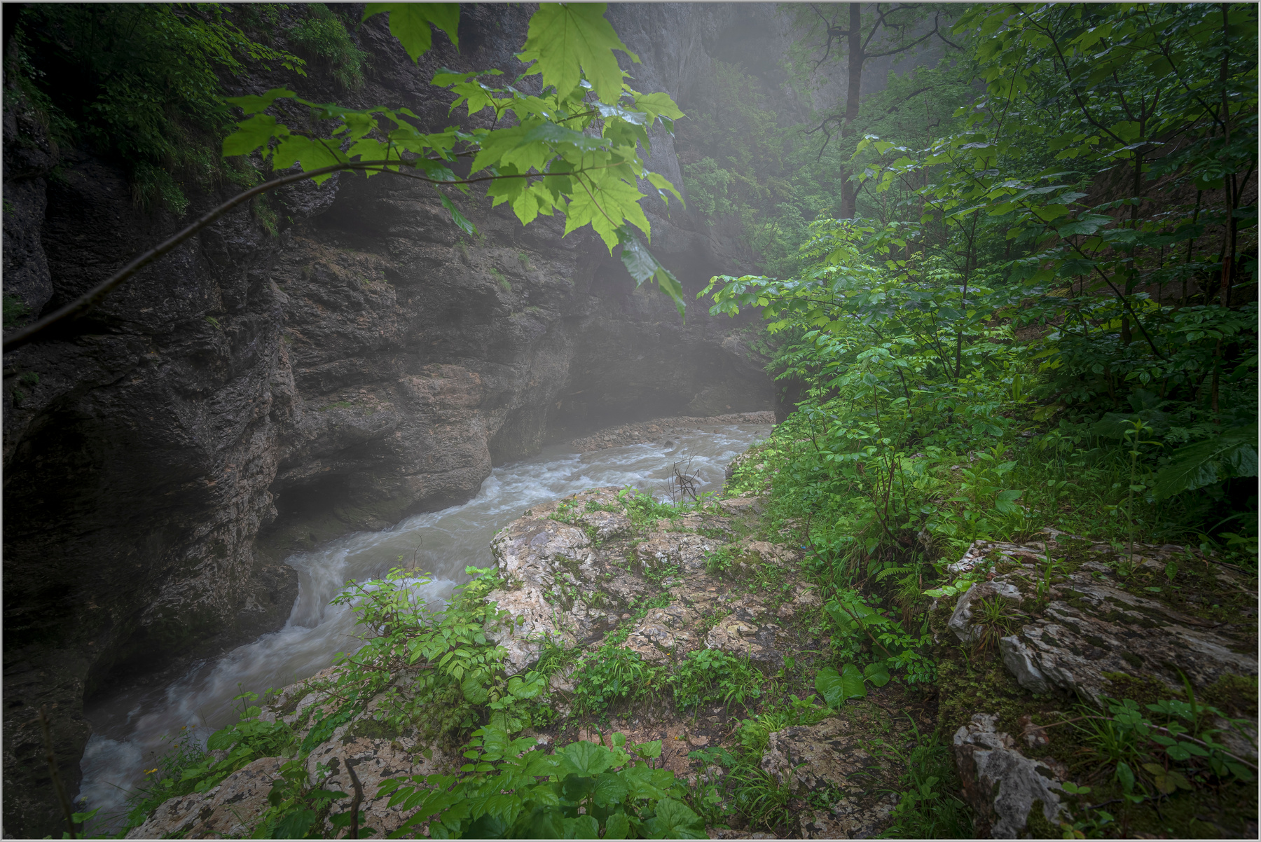Горная река природа