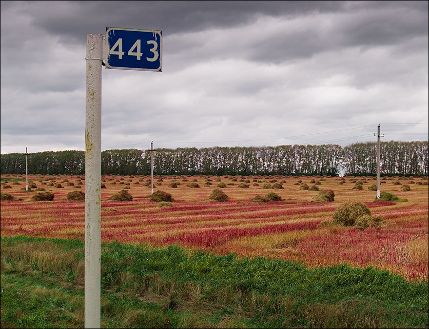 443 