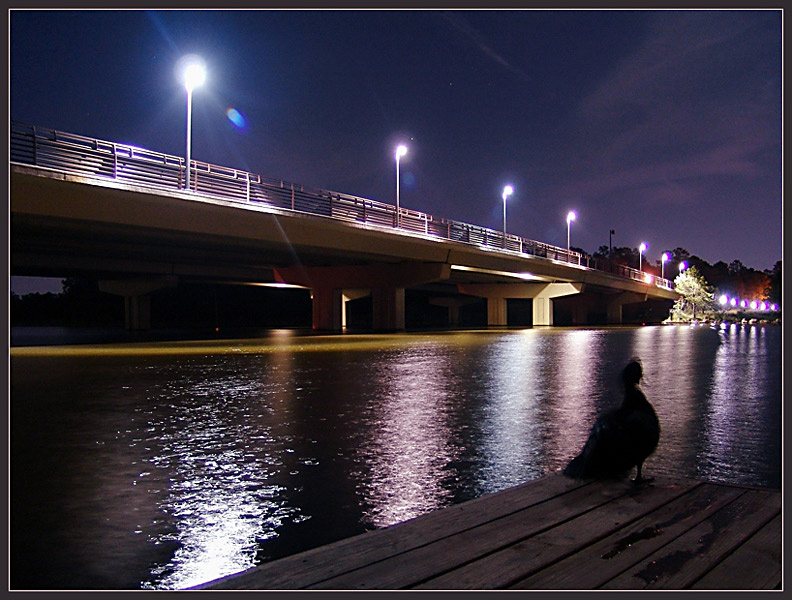 Bridge Guard Duck, Bridge