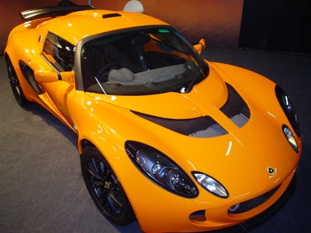 Lotus lotus