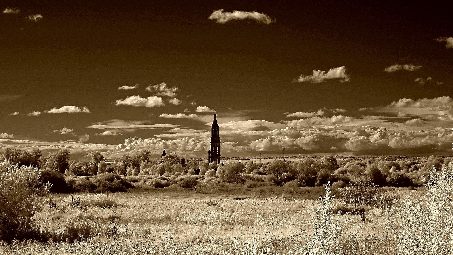 .Ярославская губерния.Р.Ф.2021г.г. от Р.Х. Инфракрасная,чёрно-белая,монохромная, фотография. (infrared imaging) 