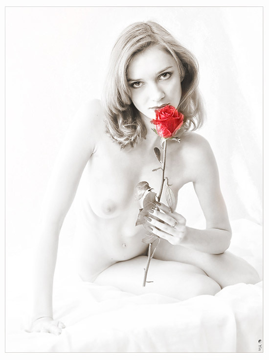 Virginity & Passion 