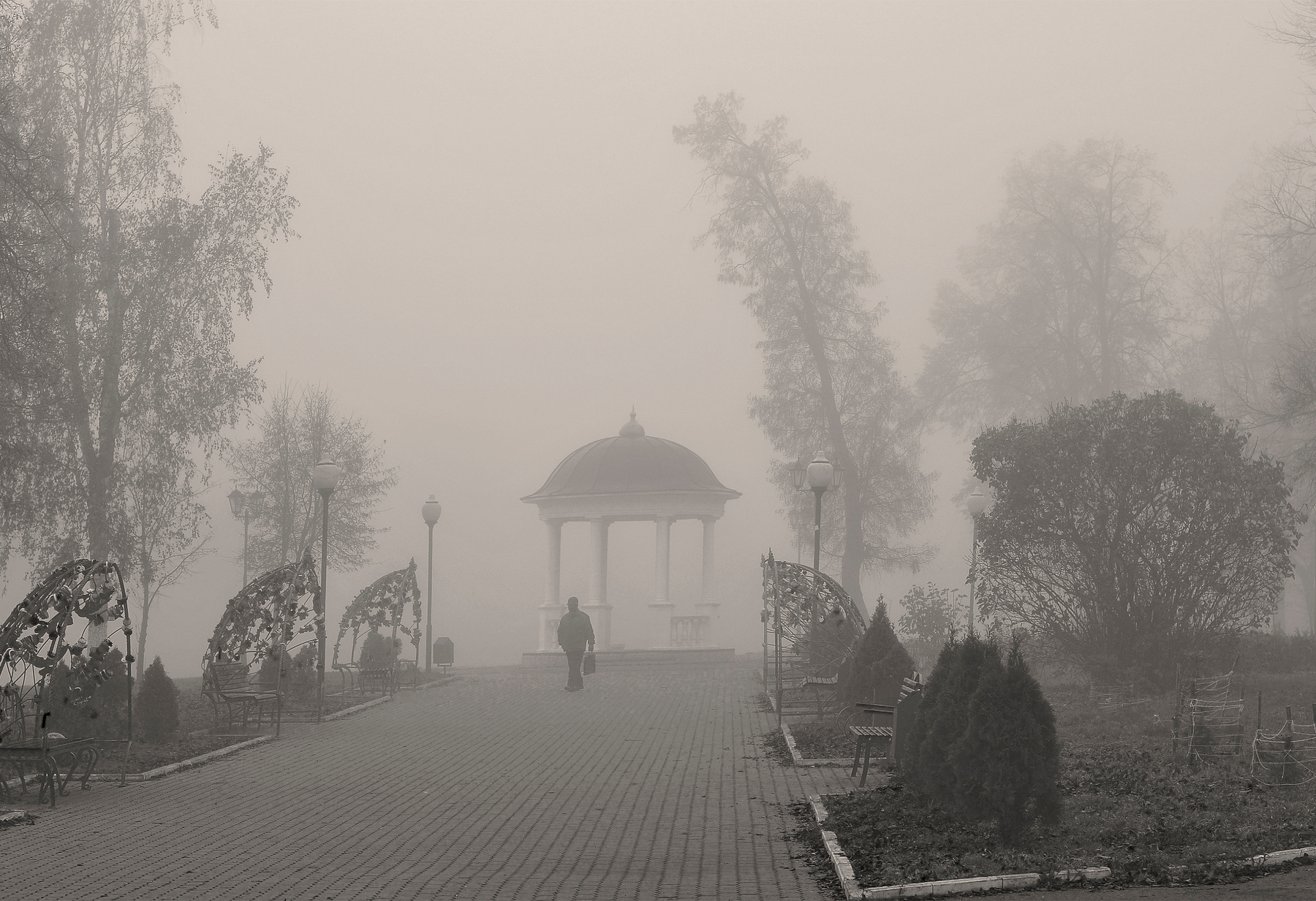 Misty foggy morning
