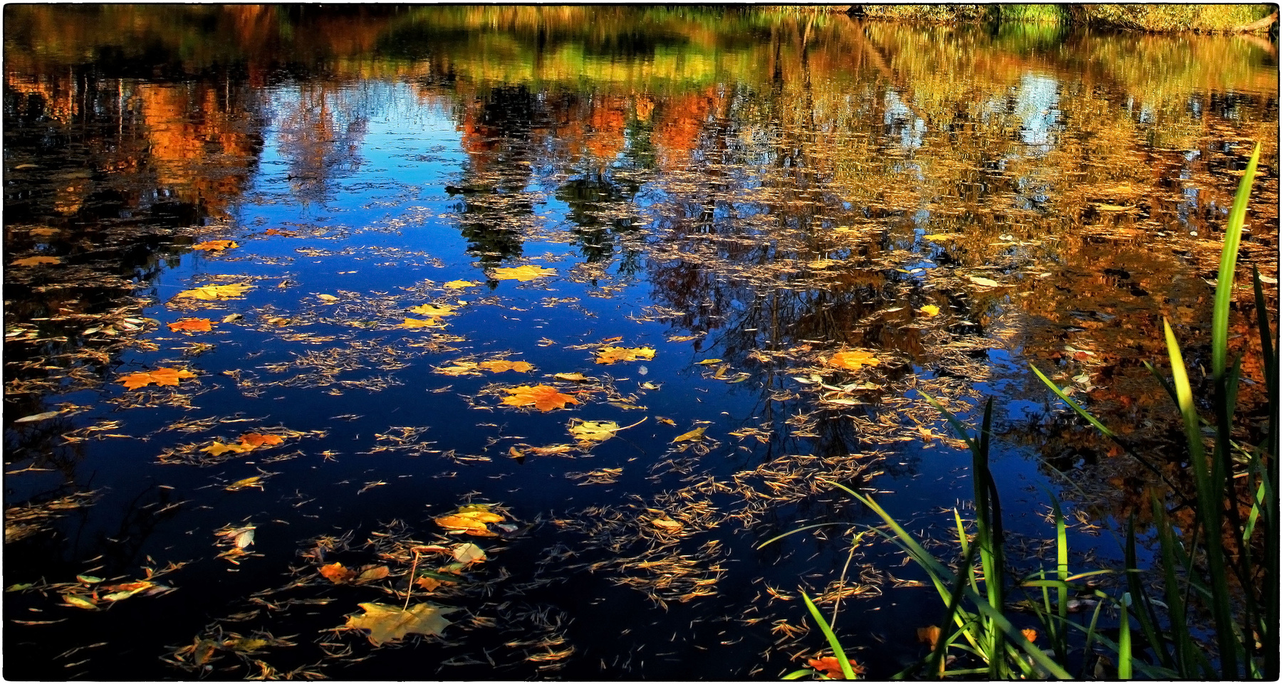 ***Зеркальное отражение осени в воде!  ***