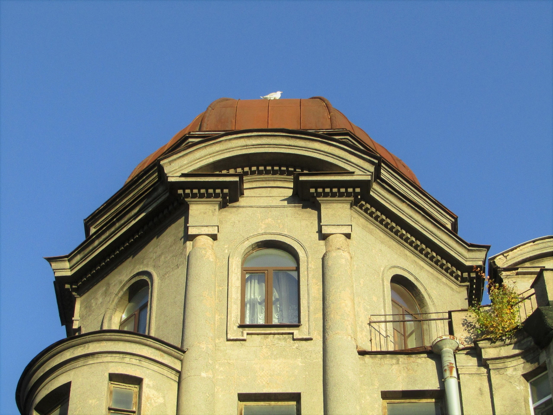 *** Петербург
